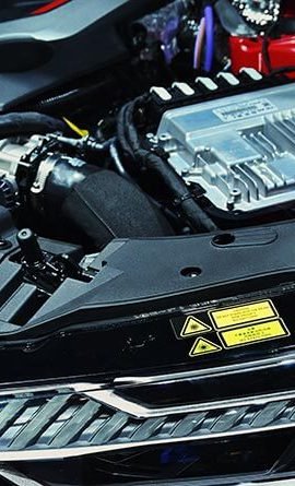 portfolio-11-270x445 (1)