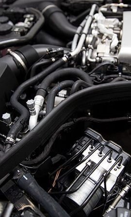 portfolio-12-270x445 (1)